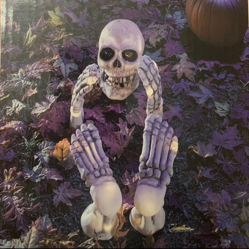 Light Up Halloween Yard Ghoul
